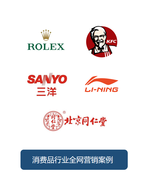 消费品行业全网营销案例