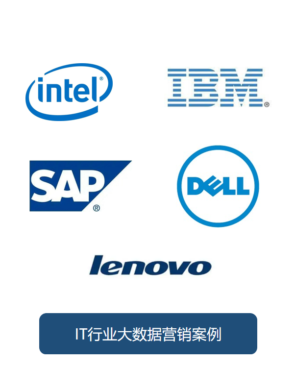 IT行业大数据营销案例