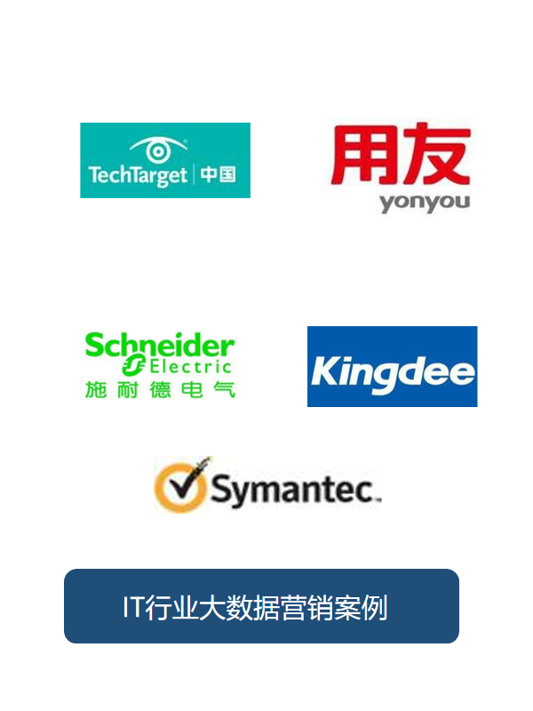 IT行业大数据营销案例